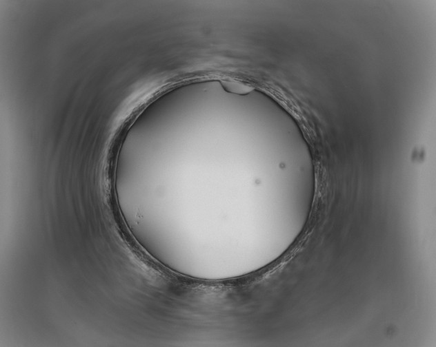 X0000096990245200802291215