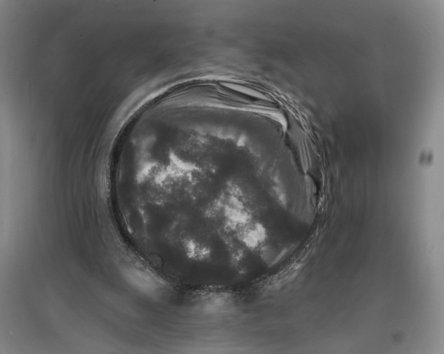 X0000096990247200802291215