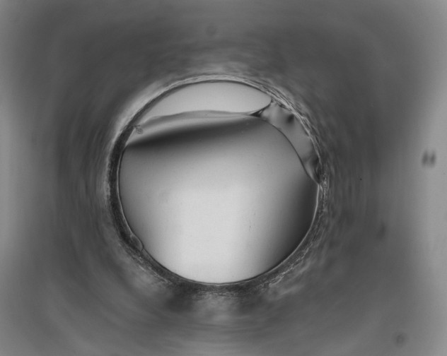 X0000096990248200802291215