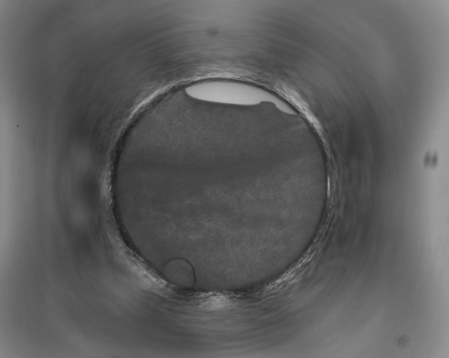 X0000096990249200802291215