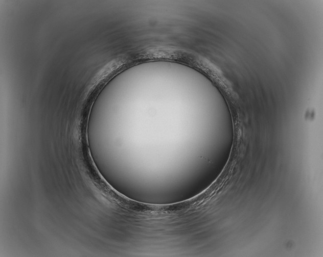 X0000096990250200802291215