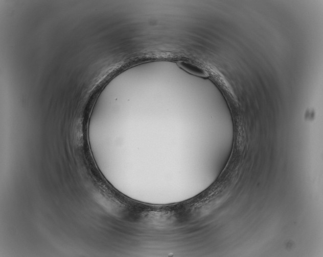 X0000096990251200802291215