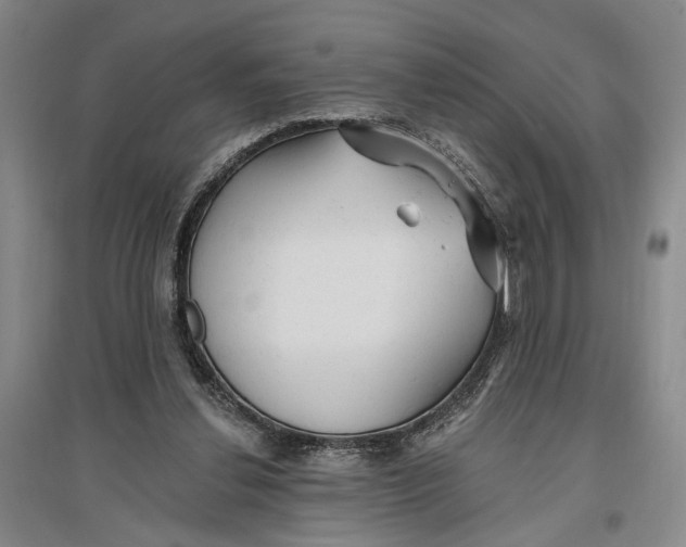 X0000096990252200802291216