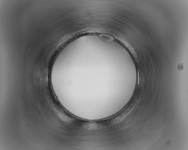 X0000096990253200802291216