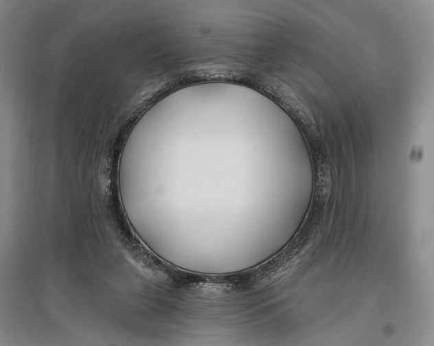 X0000096990255200802291216