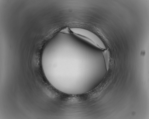 X0000096990259200802291216