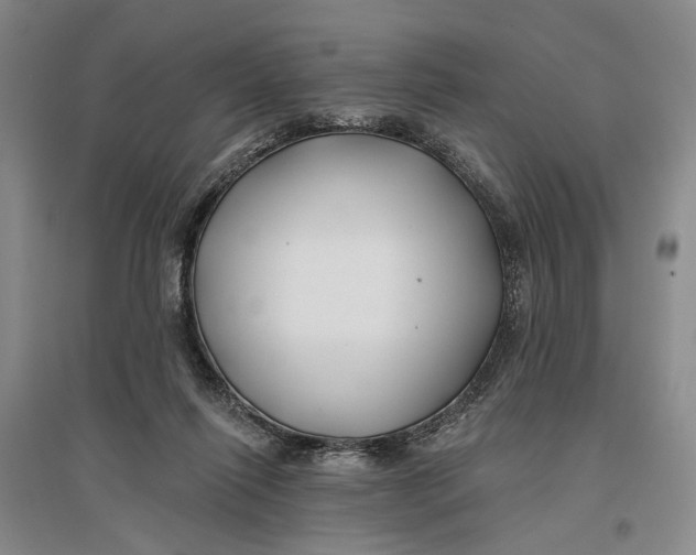 X0000096990262200802291216