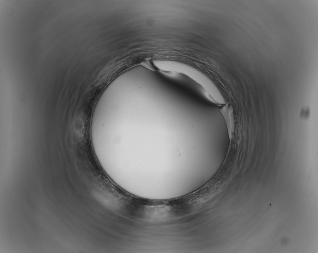 X0000096990266200802291216