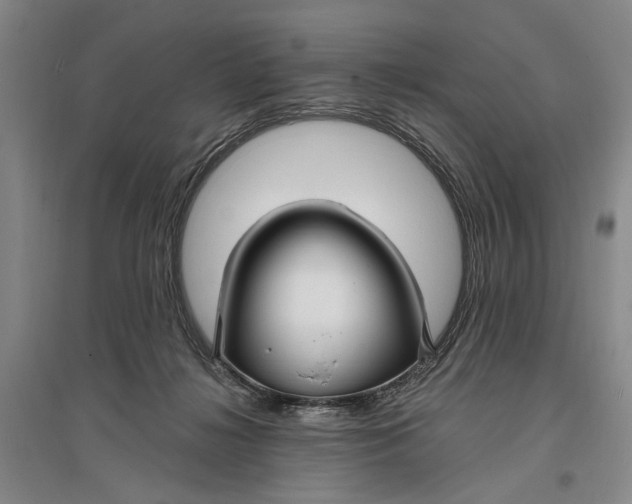 X0000096990268200802291216