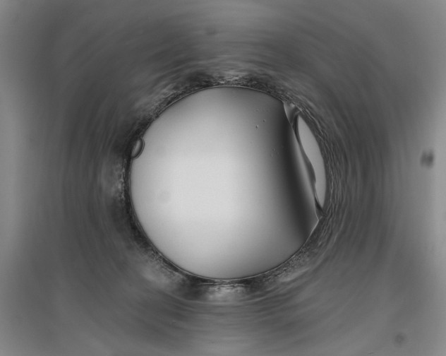 X0000096990274200802291216