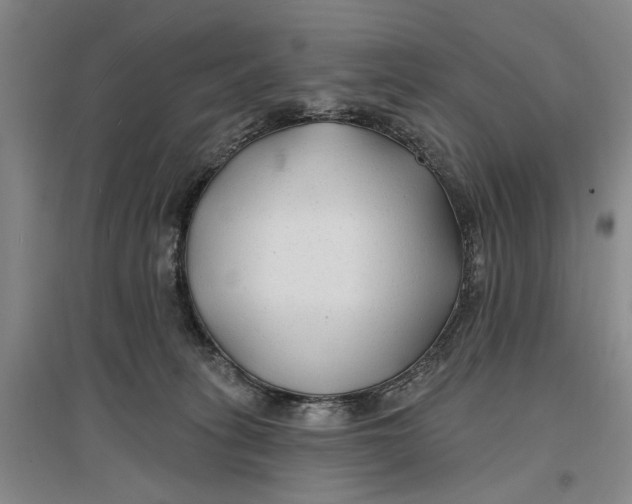 X0000096990275200802291216