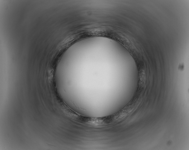 X0000096990278200802291216