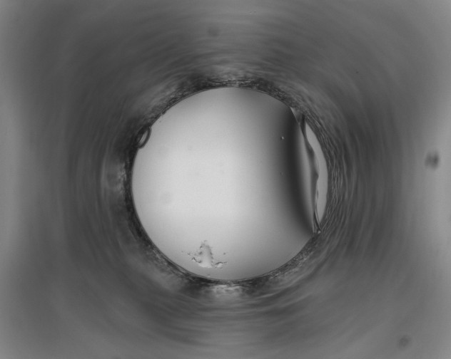 X0000096990279200802291216