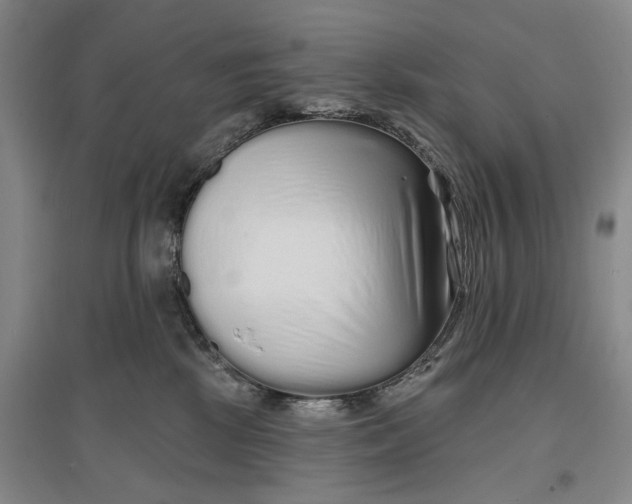 X0000096990281200802291216