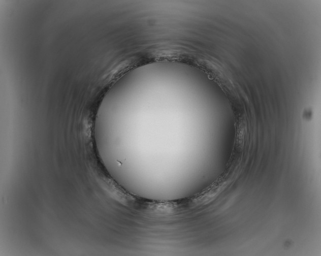 X0000096990282200802291216