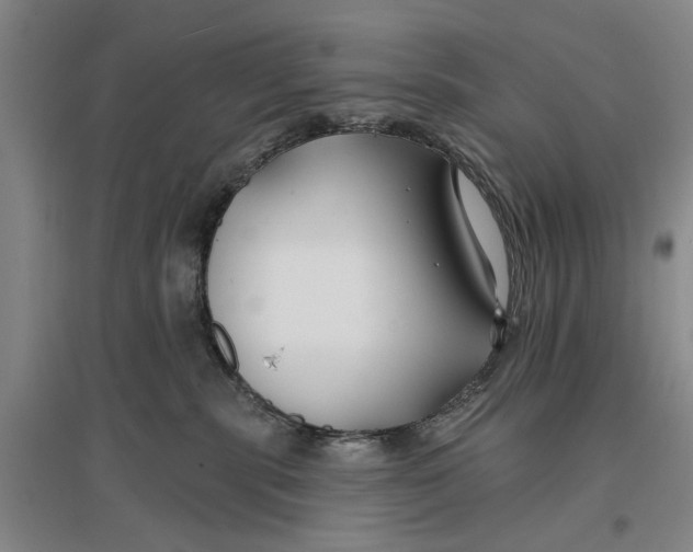 X0000096990283200802291216