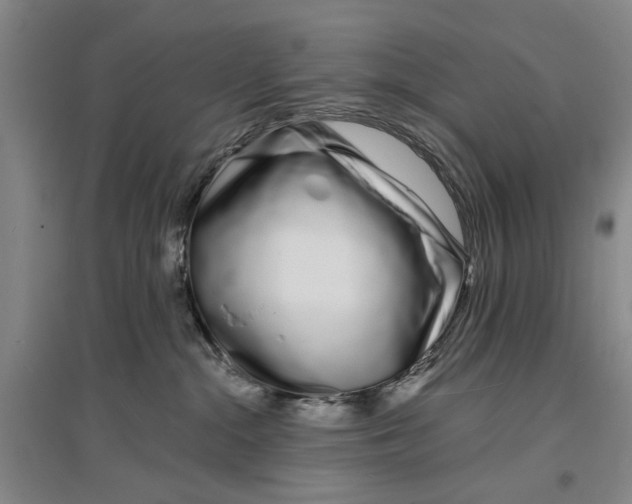 X0000096990284200802291216