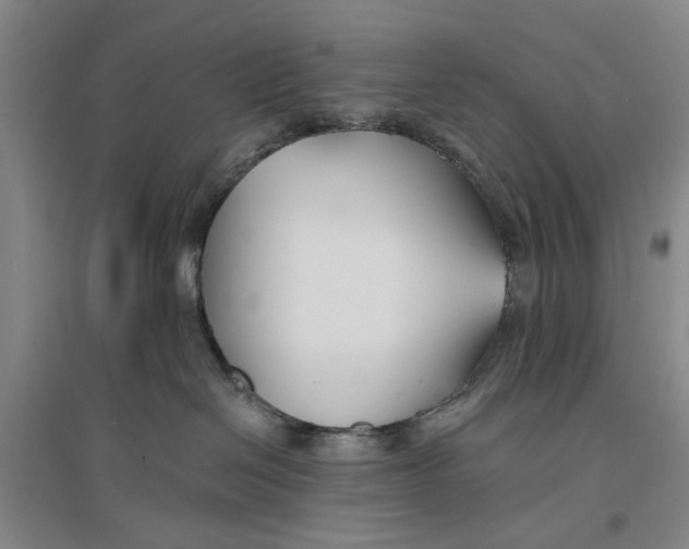 X0000096990286200802291216