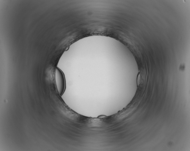 X0000096990287200802291216