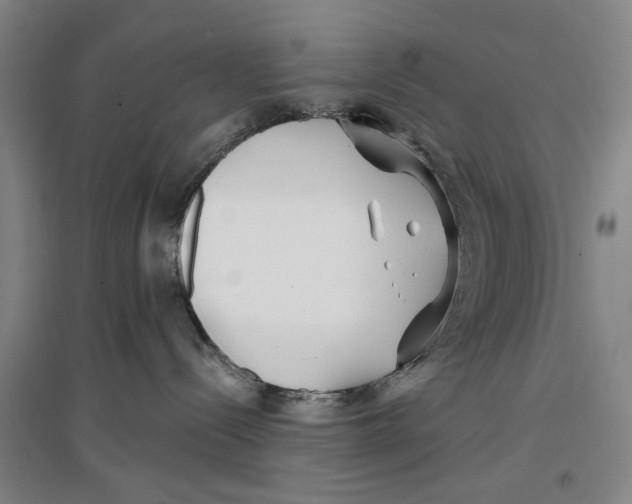 X0000096990288200802291216