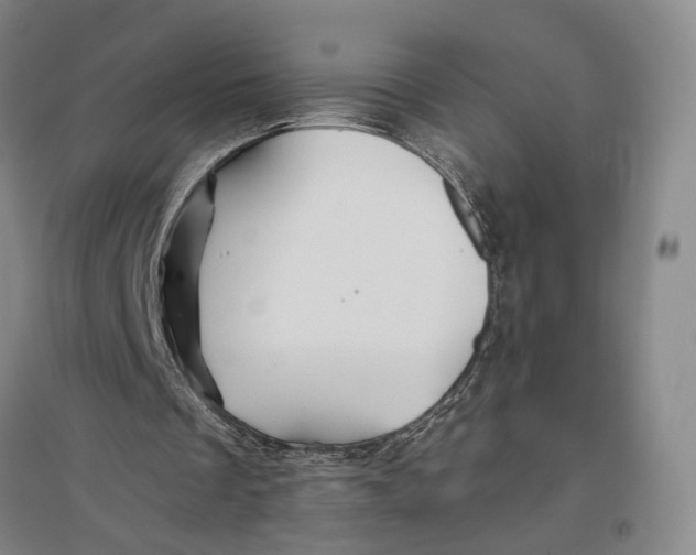 X0000096990289200802291215