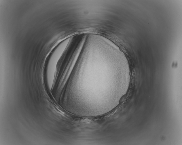 X0000096990290200802291215