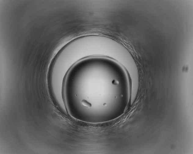 X0000096990292200802291215