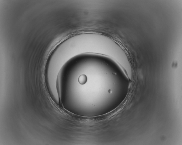 X0000096990293200802291215