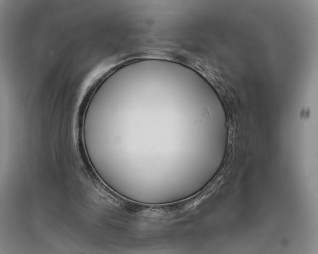 X0000096990294200802291215