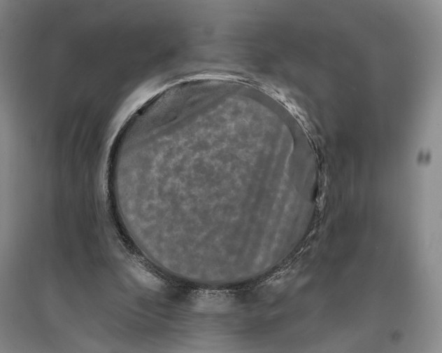 X0000096990296200802291215