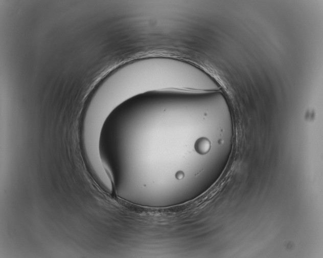 X0000096990297200802291215