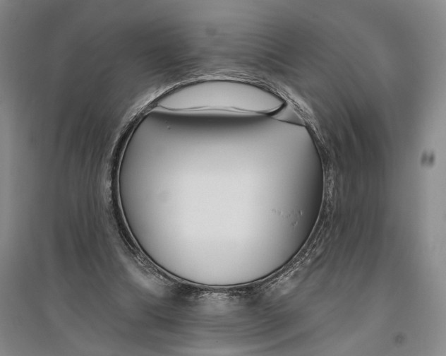 X0000096990298200802291215