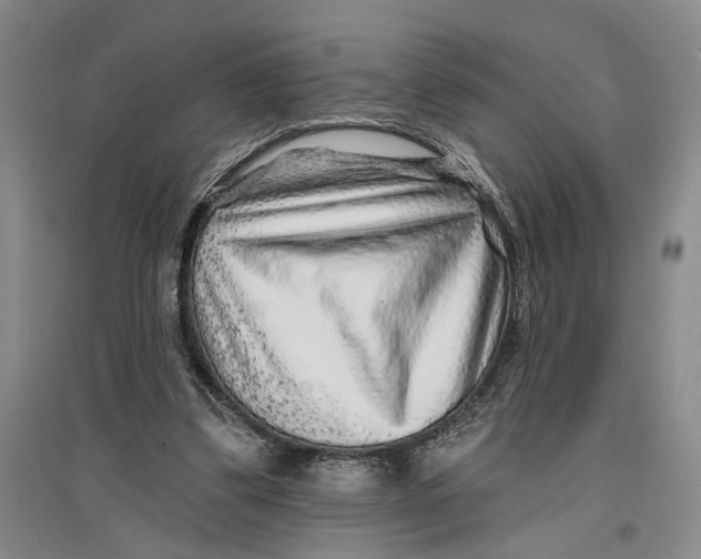 X0000096990299200802291215