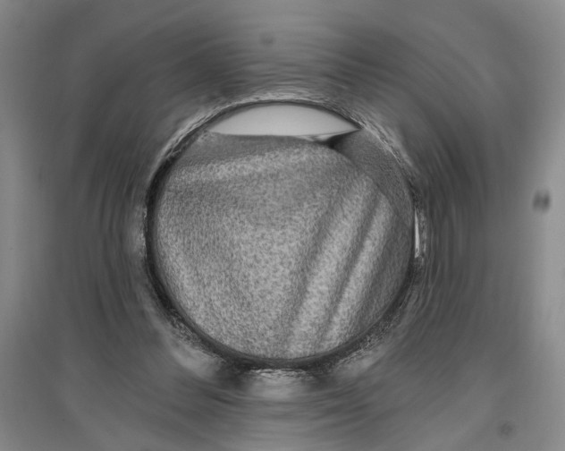 X0000096990300200802291215