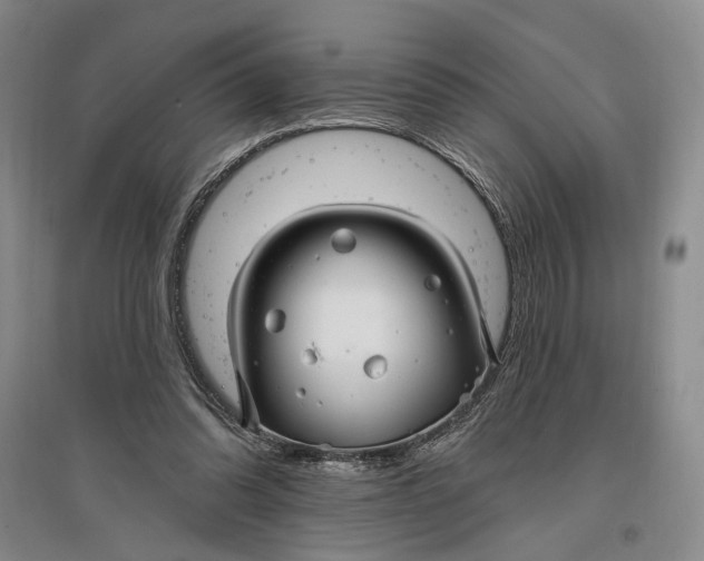 X0000096990302200802291215