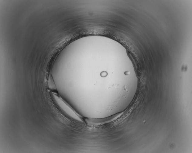 X0000096990305200802291215