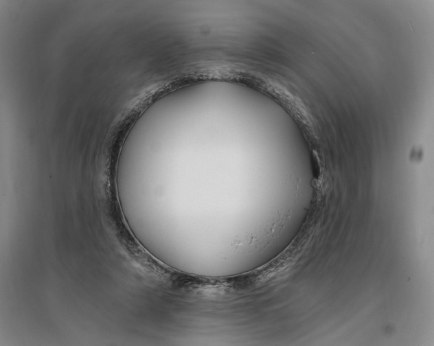 X0000096990306200802291215