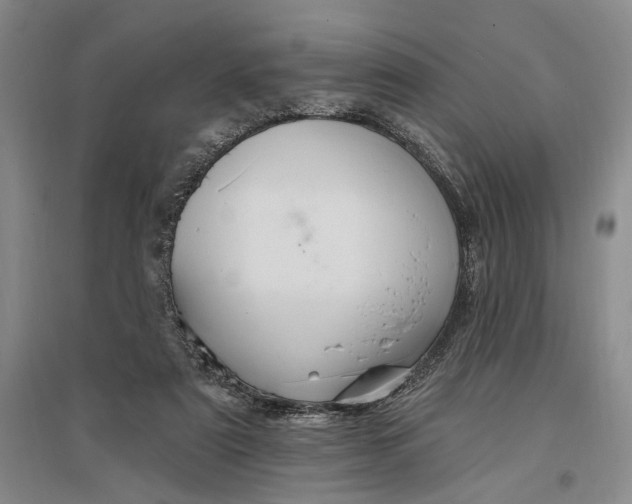 X0000096990307200802291215