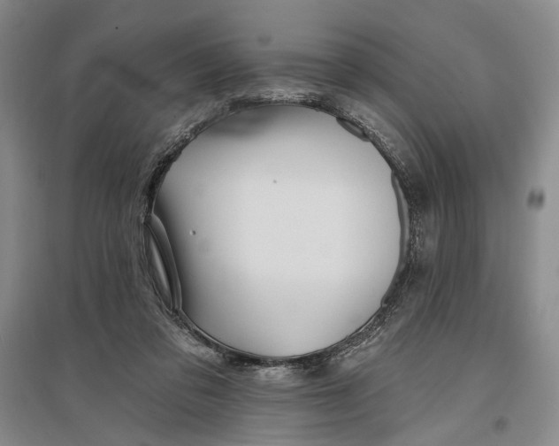 X0000096990309200802291215