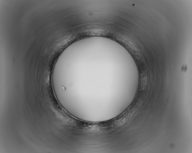 X0000096990310200802291215