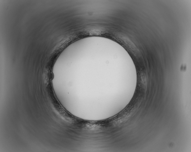 X0000096990311200802291215