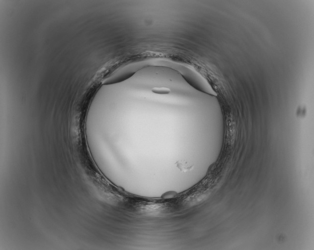 X0000096990312200802291215