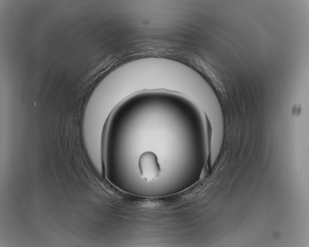 X0000096990313200802291215