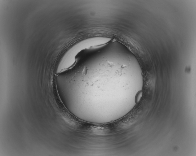 X0000096990315200802291215