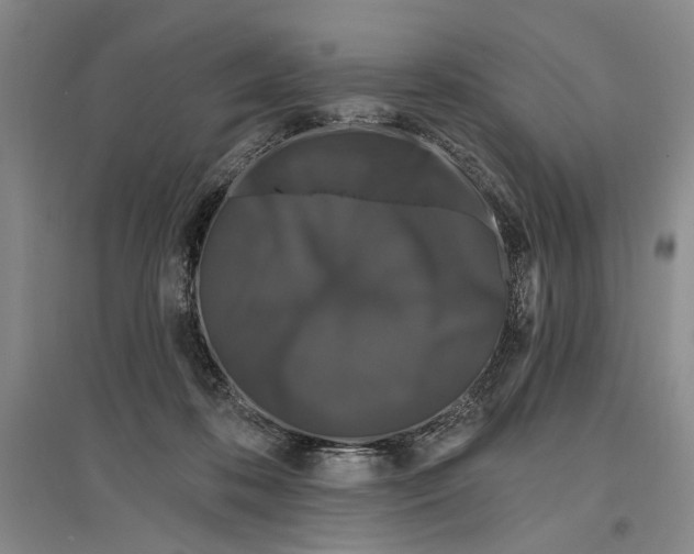 X0000096990316200802291215