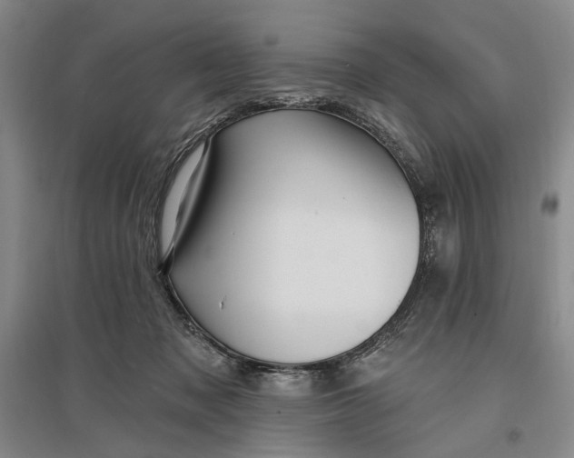 X0000096990317200802291215