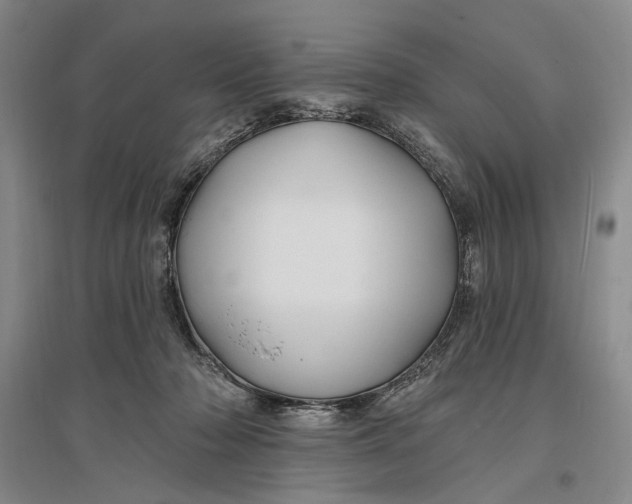 X0000096990318200802291215