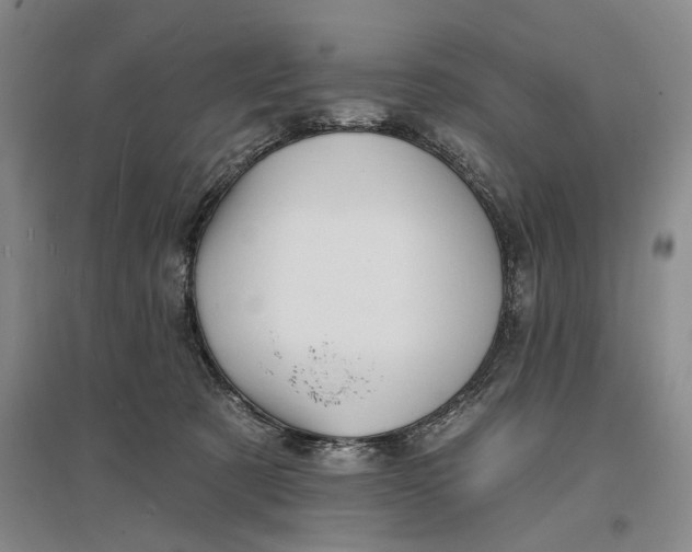 X0000096990321200802291215