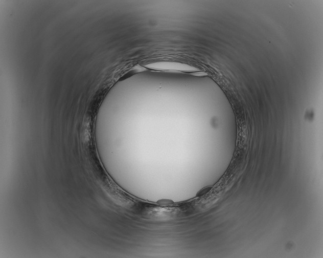 X0000096990323200802291215