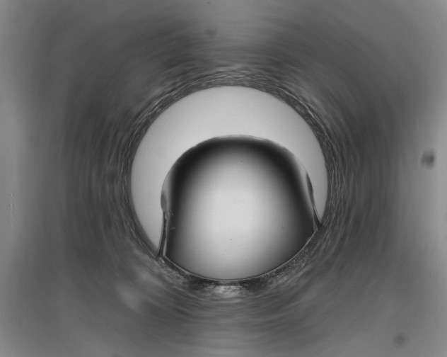 X0000096990324200802291215